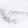 Disposable lip applicators (100 pieces)